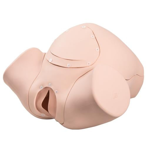 Födelsesimulator Grundläggande