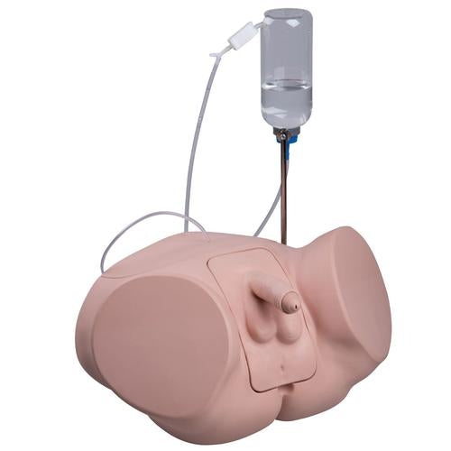 Manlig katetersimulator Pro