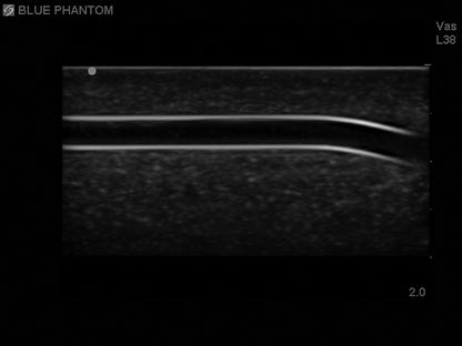 Blue Phantom Ultraljudsträningsblock Pediatrisk 4 kärl